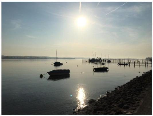Ferienwohnung Bodensee Nenzingen Hegau Orsingen-Nenzingen Экстерьер фото